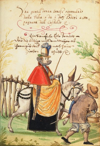 MS W.477 fol.31 Illustration aus Kippells 